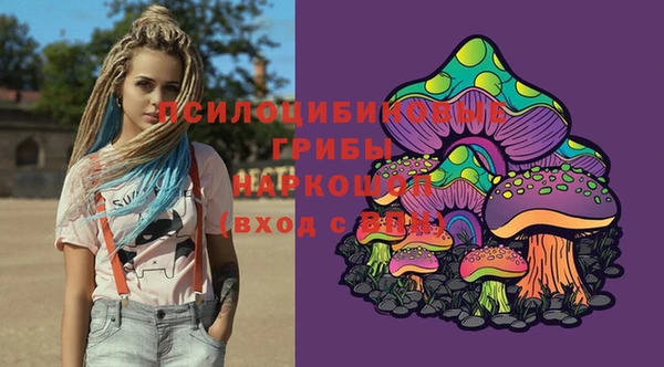 ешки Алексеевка